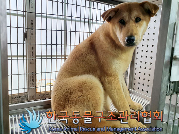 종료(안락사) 믹스…